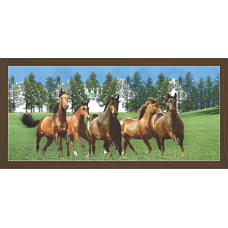 Horse Paintings (HH-3516)